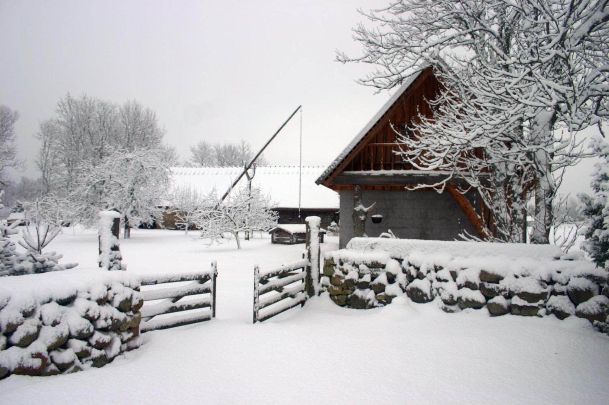 Anni Tourism Farm Tammese Exterior foto