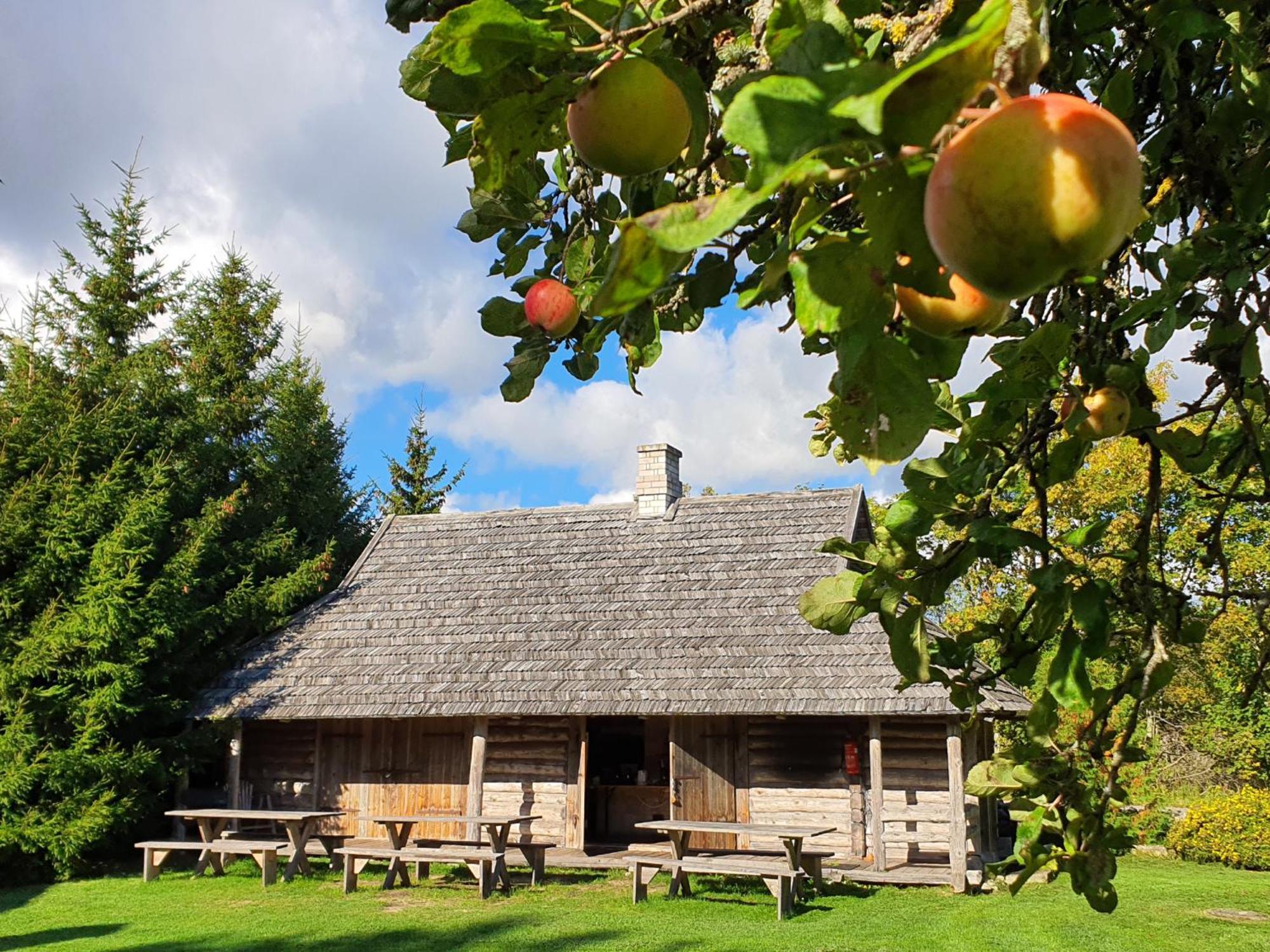 Anni Tourism Farm Tammese Exterior foto